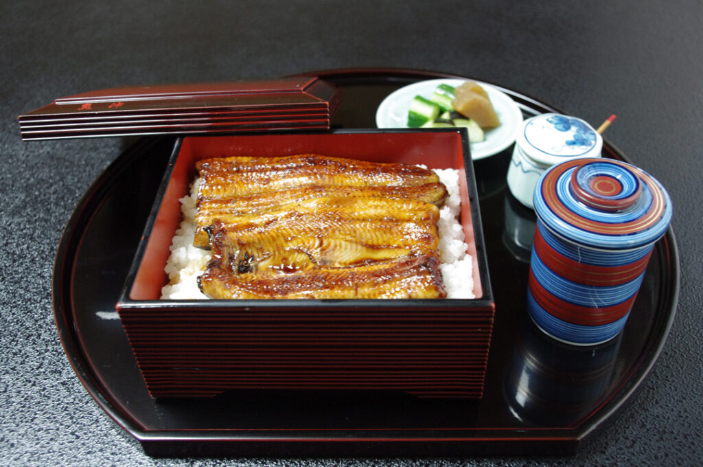 Grilled Eel Over Rice